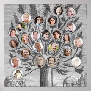 Poster Insertion antique d'arbre généalogique vos propr