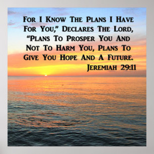 POSTER INSPIRANT JEREMIAH 29:11 SCELER