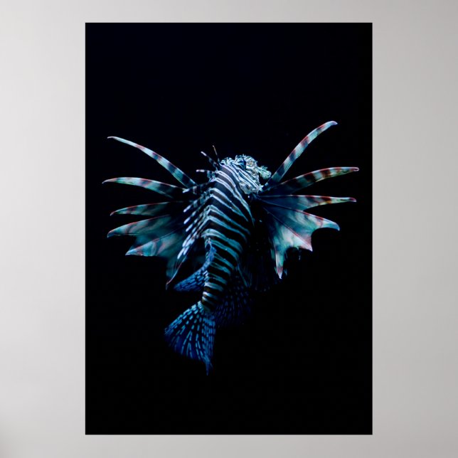 Poster Inspiration (Devant)