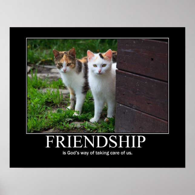 Poster Inspiration Friendship Cat (Devant)