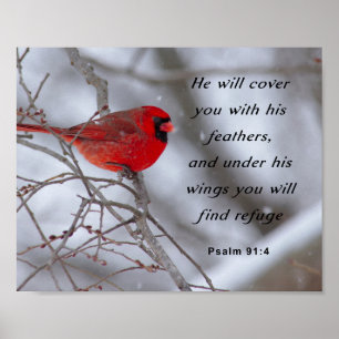 Poster Inspirational Bible Verse, Psalm 91:4