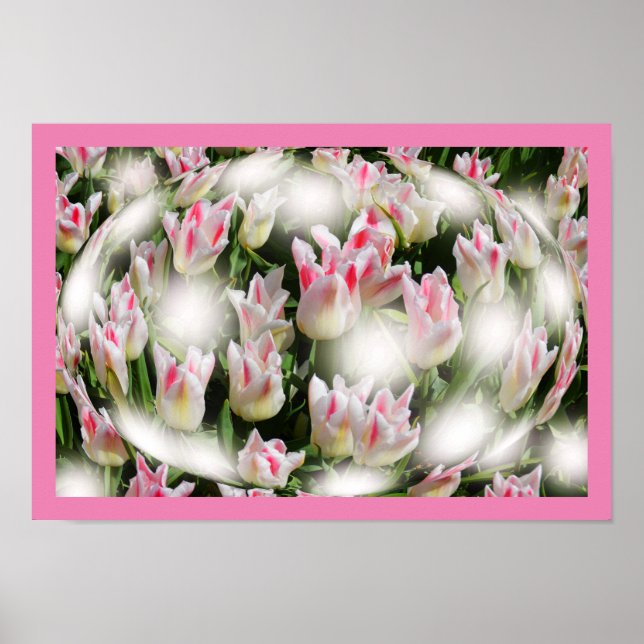 Poster Inspirations de tulipes (Devant)