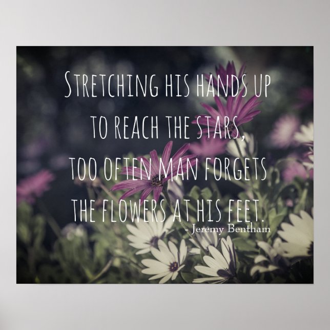 Poster Inspiring Jeremy Bentham Quote (Devant)