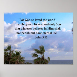 POSTER INSPIRING JOHN 3:16 PHOTO