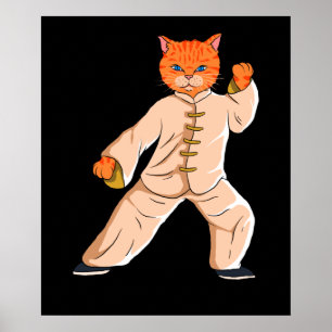 Poster Instructeur Tai Chi Tai Chi Cat