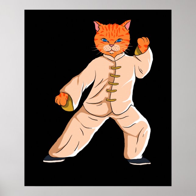 Poster Instructeur Tai Chi Tai Chi Cat (Devant)