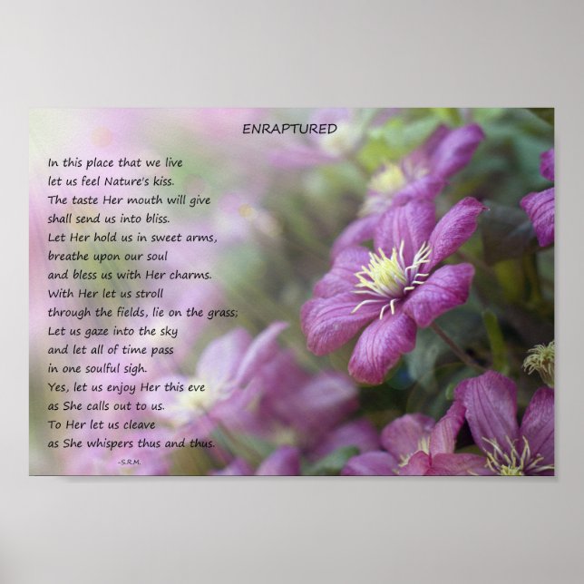Poster Intégré (Devant)