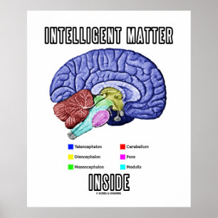 Poster Intelligent Matter Inside (Anatomical Brain Humor)