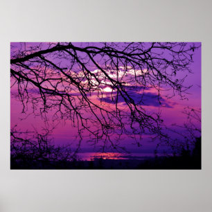 Poster Intense et Vive - Paysage du coucher de soleil vio