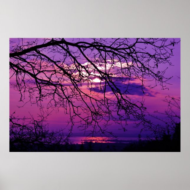 Poster Intense et Vive - Paysage du coucher de soleil vio (Devant)