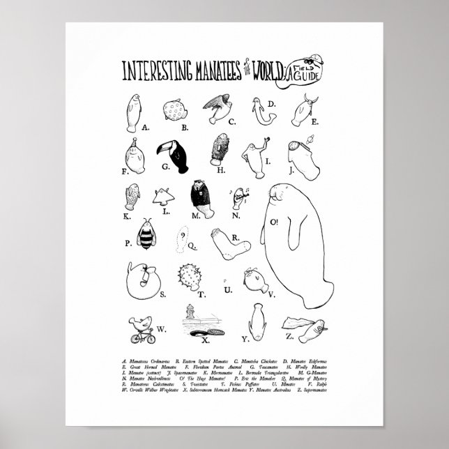 Poster intéressant des lamantins (Devant)