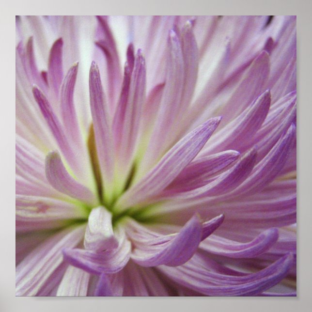 Poster Intérieur (Devant)