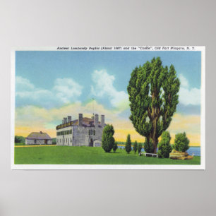 Poster Intérieur de la chapelle jésuite dans le vieux châ