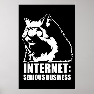 Poster Internet: Serious Business (lolcat funny tshirt)