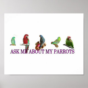 Poster Interrogez-moi au sujet de mes perroquets