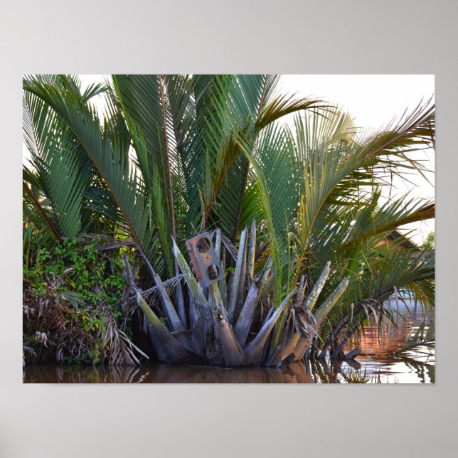 Poster Intervenant pris à Nipa Palm dans la péninsule de  (Devant)