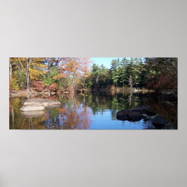 Poster Into the Cove (Devant)