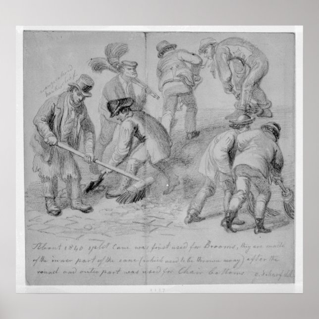 Poster Introduction de balais à canne cassée (Devant)