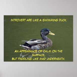 Poster Introduire le canard