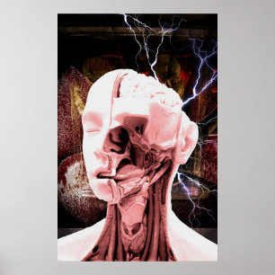 Poster introspection