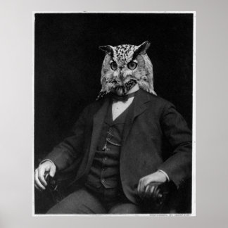 Poster Inventeur de hibou