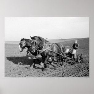 Poster Iowa Corn Planter, années 1940