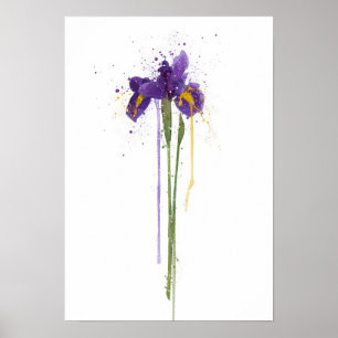 Poster Iris