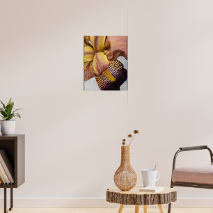 Poster Iris barbu floral jaune et violet
