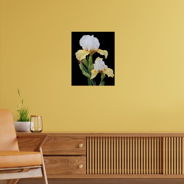 Poster Iris blancs et jaunes Floral (Salon 2)