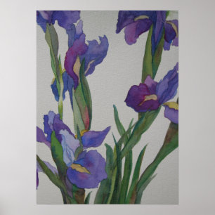 Poster Iris bleu