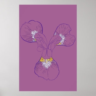 Poster Iris Botanical Line Art