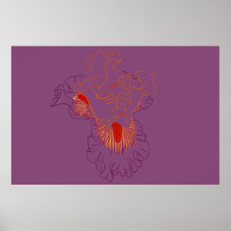 Poster Iris Botanical Line Art