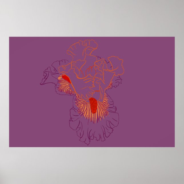 Poster Iris Botanical Line Art (Devant)