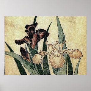 Poster Iris de Katsushika Hokusai (détail)
