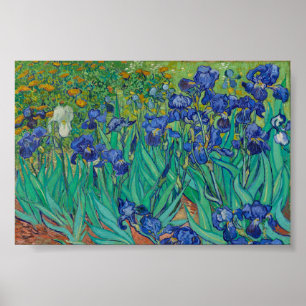 Poster Iris de Van Gogh