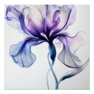 Poster Iris Délicat en Fleurs