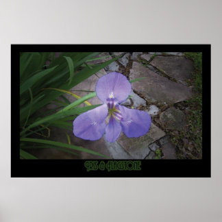 Poster "Iris & Flagstone" - Imprimer