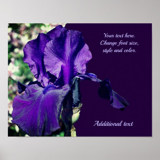Poster Iris Flower Ajouter votre texte personnalisé (Devant)