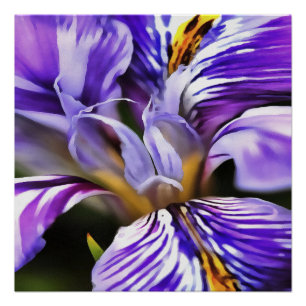 Poster Iris In Violet Lilac and Purple Botanical Art