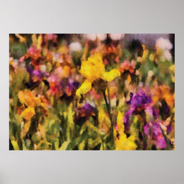 Poster Iris - Orchestre (Devant)