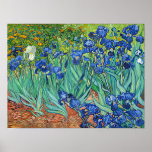 Poster Iris par Van Gogh