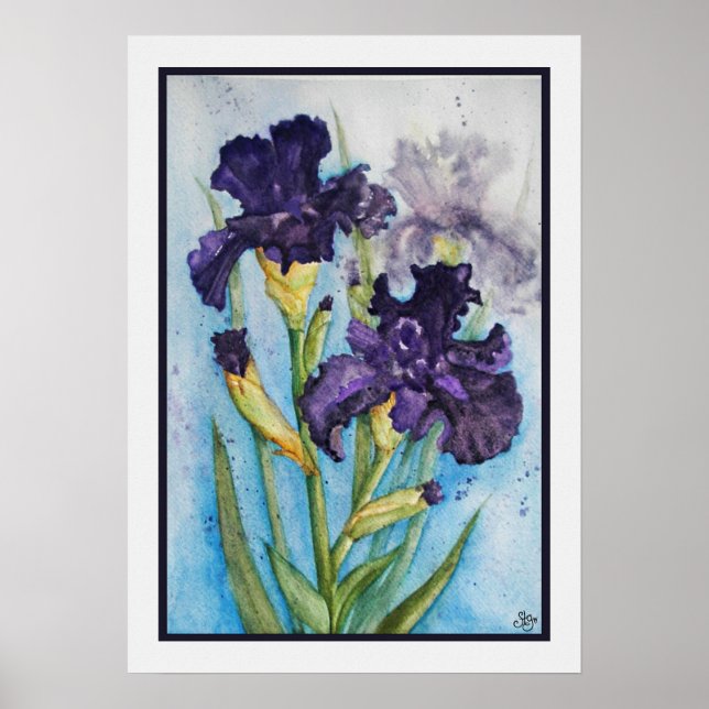 Poster Iris Violet du Printemps (Devant)