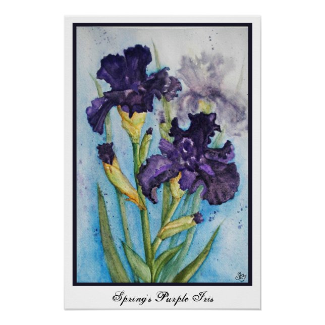 Poster Iris Violet du Printemps (Devant)