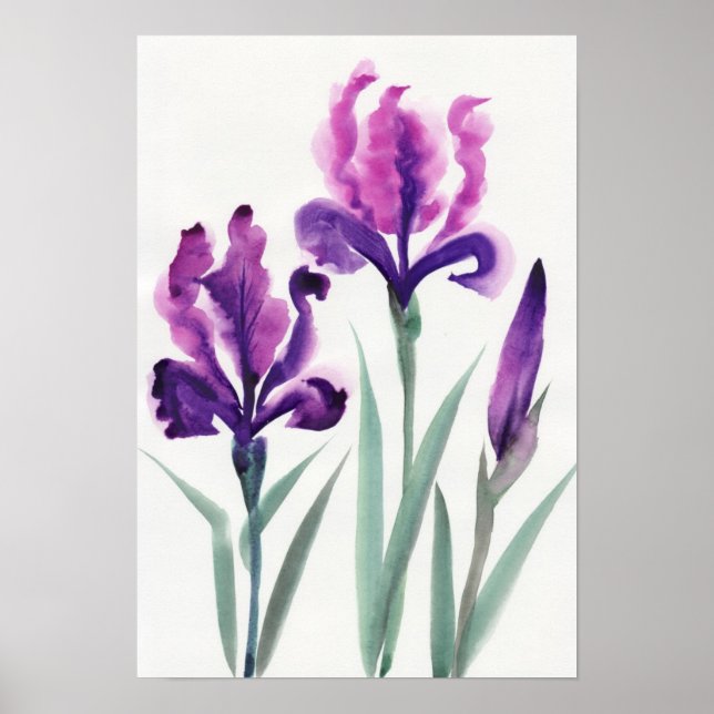 Poster Irises (Devant)