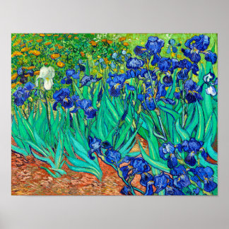 Poster Irises (1889) Vincent Van Gogh jardin fleuri bleu