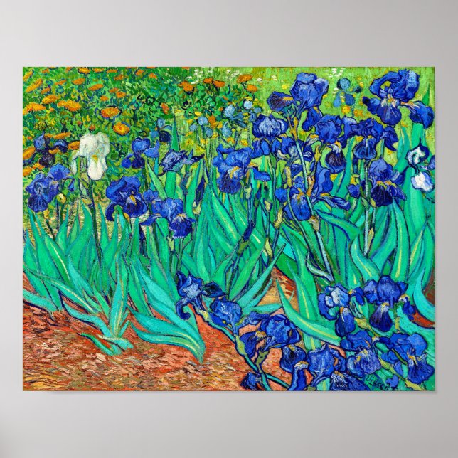 Poster Irises (1889) Vincent Van Gogh jardin fleuri bleu (Devant)