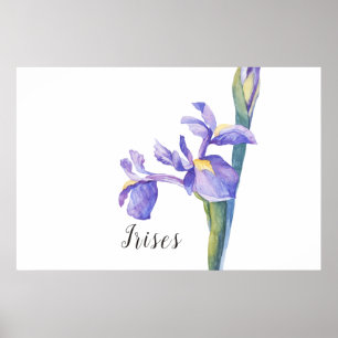 Poster Irises aquarelle Floral
