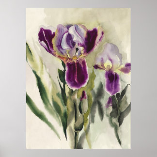 Poster Irises aquarelle peinture