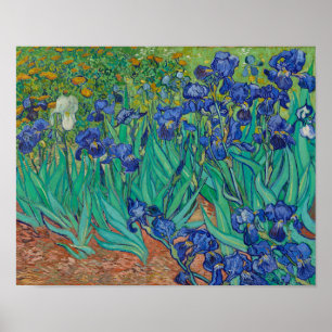 Poster Irises by Vincent Van Gogh
