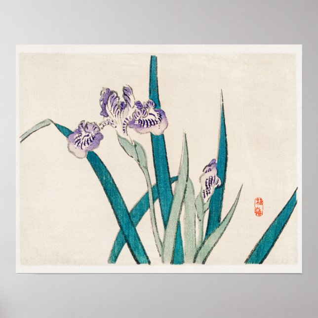Poster Irises de Kōno Bairei (1844-1895) (Devant)